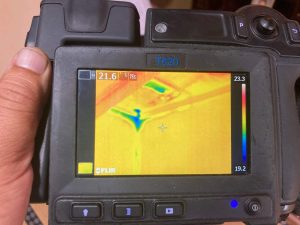 【春の雨漏り】千葉県、春の長雨にご注意！強風を伴う雨漏りの原因と恐ろしい二次被害